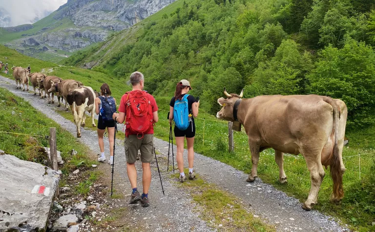 Các biện pháp giữ an toàn khi trekking đường dài trên dãy Alps