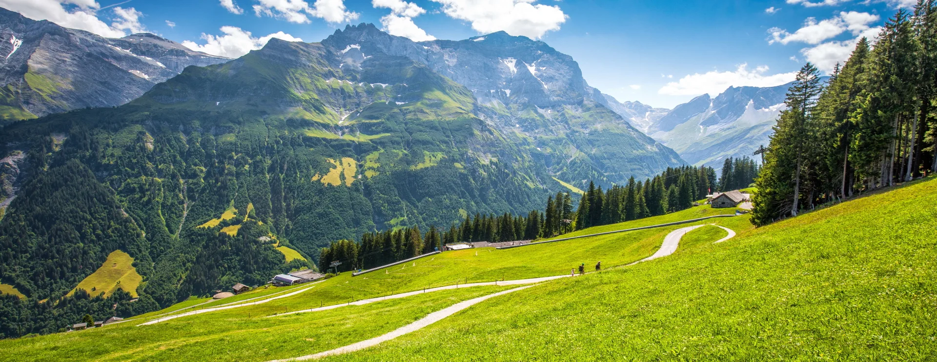 Via Alpina