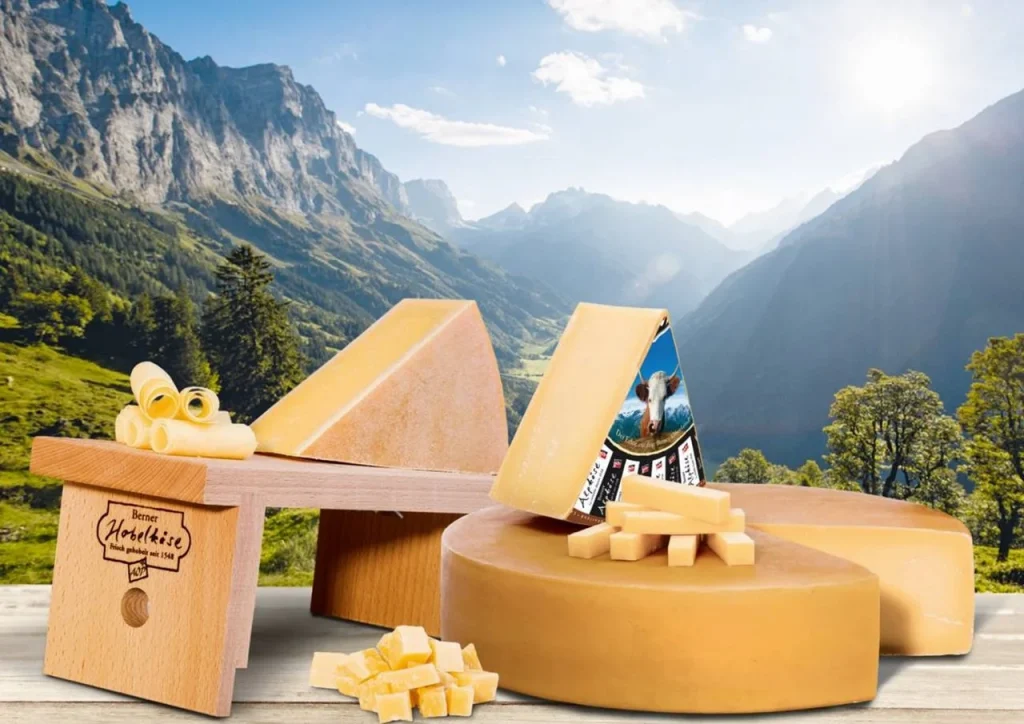 Pho mai Thụy Sĩ - Swiss Cheese